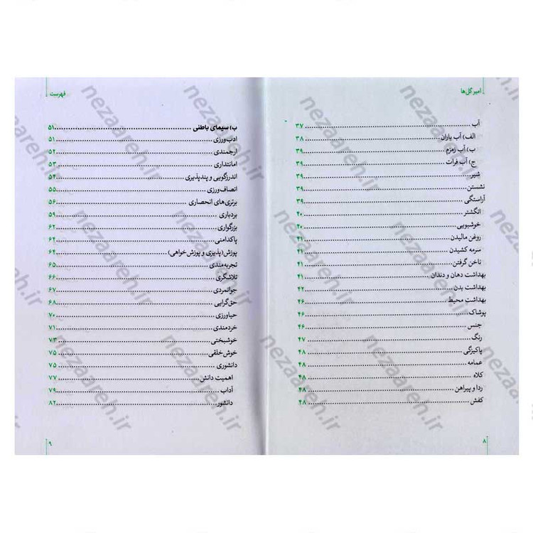 کتاب امیر گلها (نگاهی نو به زندگی و شخصیت امام علی(ع)) اثر حسین سیدی