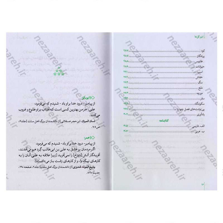 کتاب امیر گلها (نگاهی نو به زندگی و شخصیت امام علی(ع)) اثر حسین سیدی