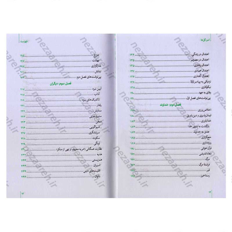 کتاب امیر گلها (نگاهی نو به زندگی و شخصیت امام علی(ع)) اثر حسین سیدی