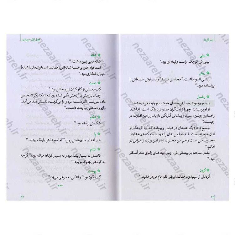 کتاب امیر گلها (نگاهی نو به زندگی و شخصیت امام علی(ع)) اثر حسین سیدی