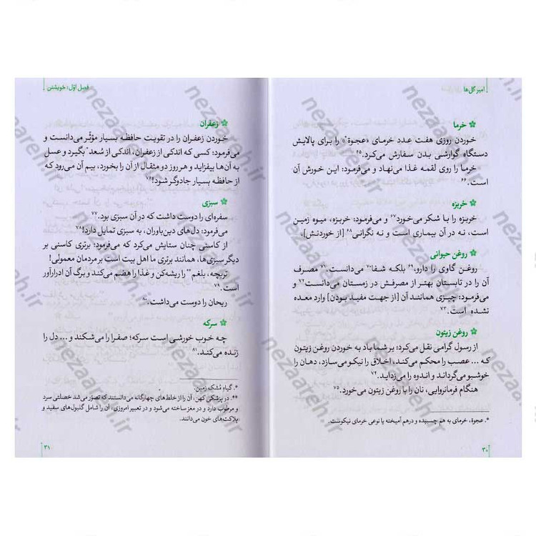 کتاب امیر گلها (نگاهی نو به زندگی و شخصیت امام علی(ع)) اثر حسین سیدی