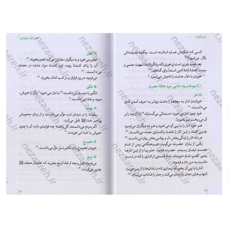 کتاب امیر گلها (نگاهی نو به زندگی و شخصیت امام علی(ع)) اثر حسین سیدی