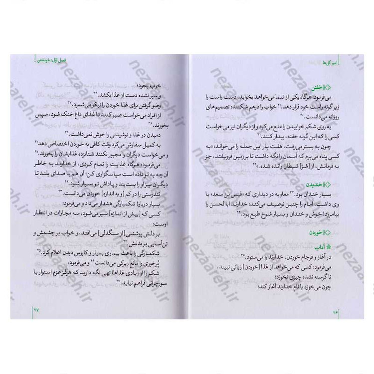 کتاب امیر گلها (نگاهی نو به زندگی و شخصیت امام علی(ع)) اثر حسین سیدی