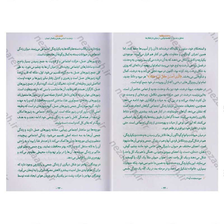 کتاب وحدت و ولایت (تحقق وحدت در جامعه ولایی، از مبانی تا راهکارها) اثر محمد رضا عابدینی