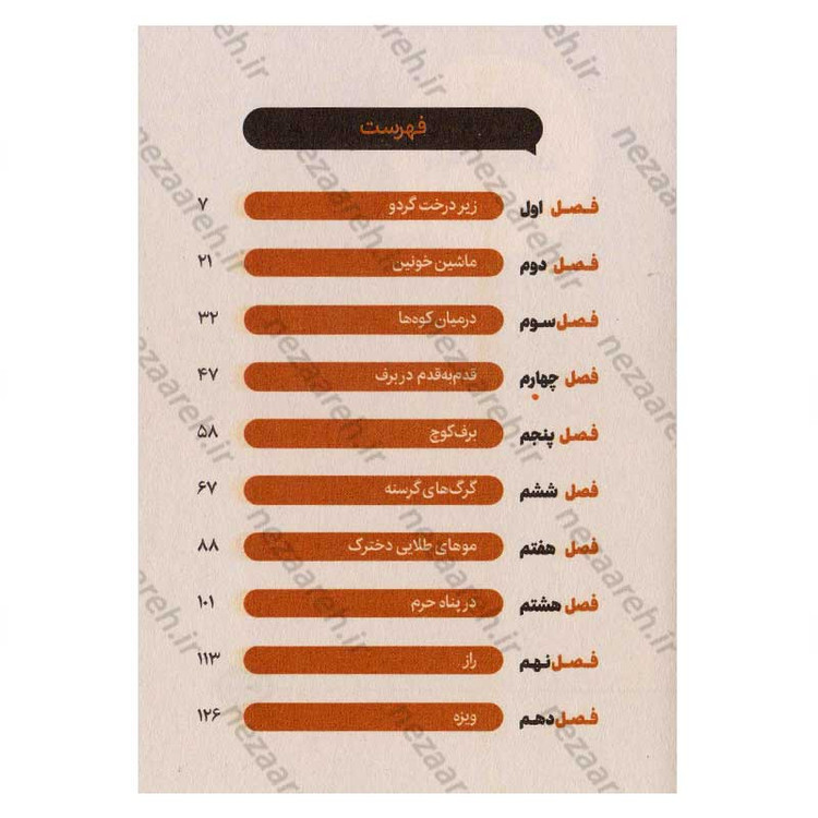 کتاب پلنگ برفی اثر فائزه کردفیروزجایی