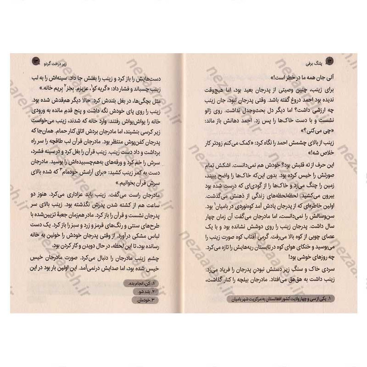 کتاب پلنگ برفی اثر فائزه کردفیروزجایی