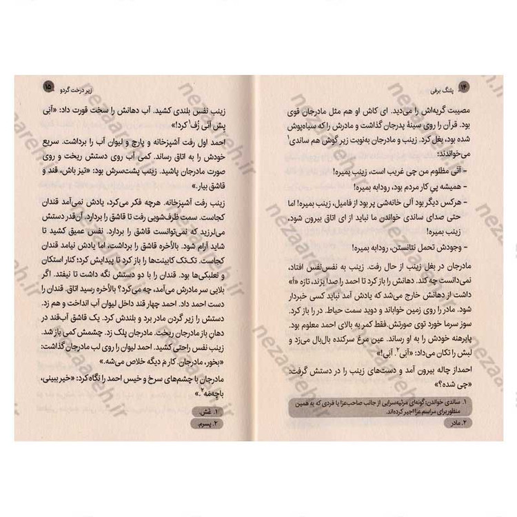 کتاب پلنگ برفی اثر فائزه کردفیروزجایی