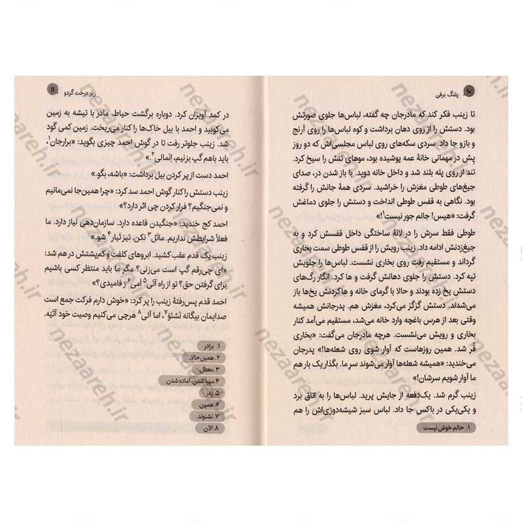 کتاب پلنگ برفی اثر فائزه کردفیروزجایی