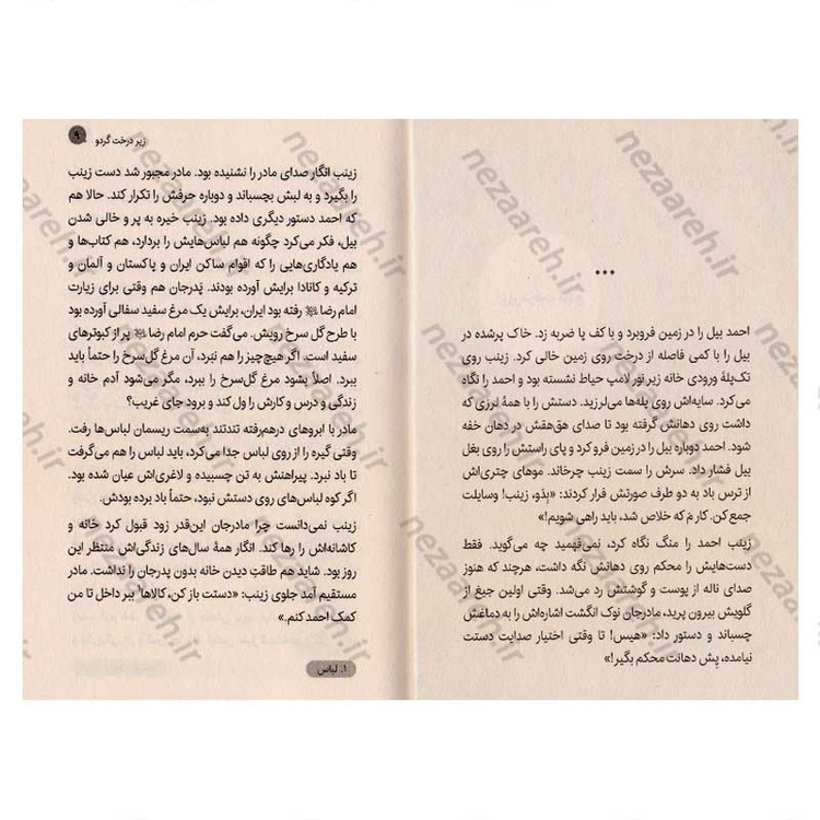 کتاب پلنگ برفی اثر فائزه کردفیروزجایی