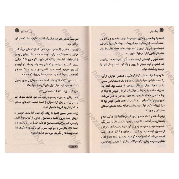 کتاب پلنگ برفی اثر فائزه کردفیروزجایی