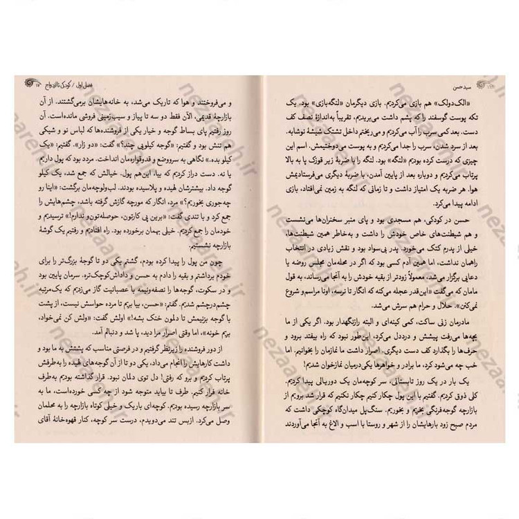 کتاب سید حسن (زندگی نامه و خاطرات سردار شهید سید حسن معصوم علی شاهی)