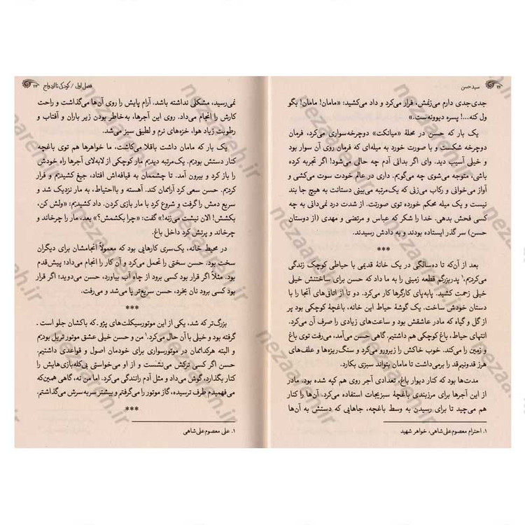 کتاب سید حسن (زندگی نامه و خاطرات سردار شهید سید حسن معصوم علی شاهی)