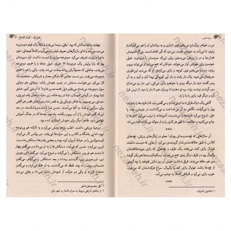 کتاب سید حسن (زندگی نامه و خاطرات سردار شهید سید حسن معصوم علی شاهی)