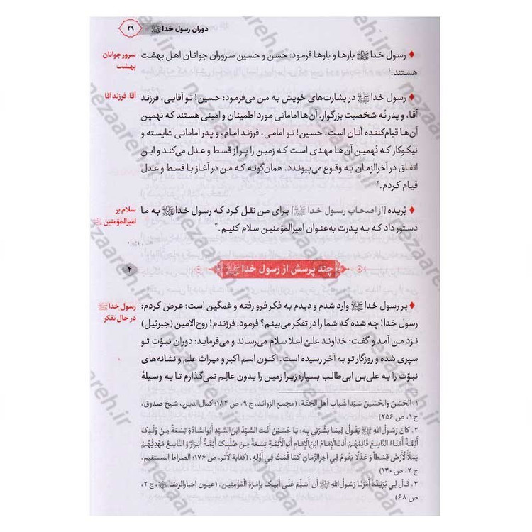 کتاب حسین از زبان حسین (زندگی و زمانه امام حسین(ع) از زبان ایشان) اثر محمد محمدیان