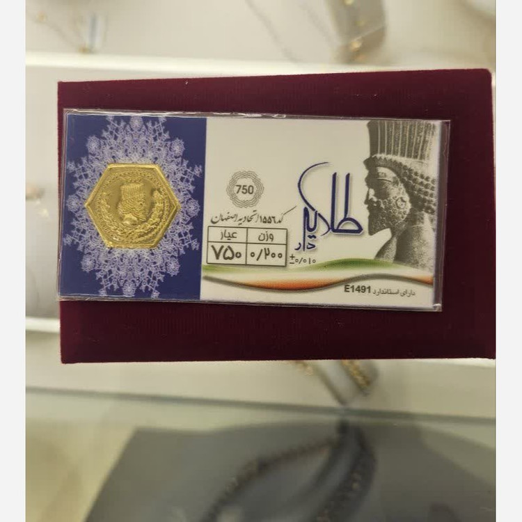 سکه پارسیان 200 سوتی آریوگلد ارسال رایگان عیار 750