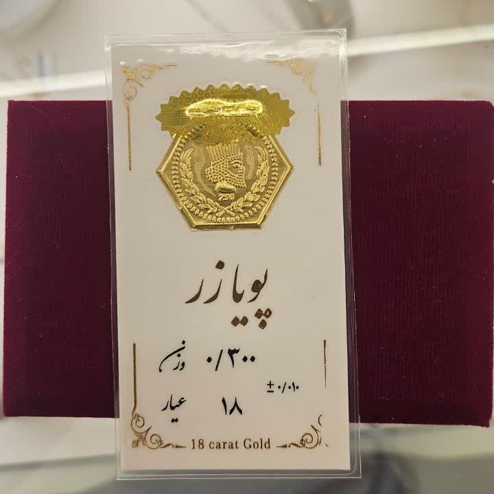 سکه پارسیان 300 سوتی با معتبرترین برند ها ارسال رایگان