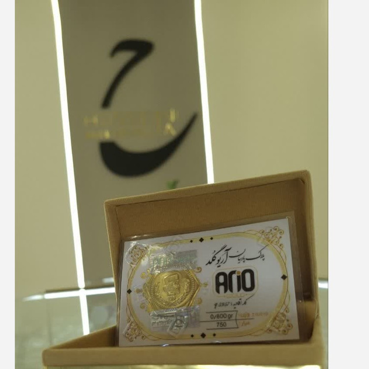 سکه پارسیان سکه گرمی طلا 800 سوتی آریو گلد (سکه زرین)