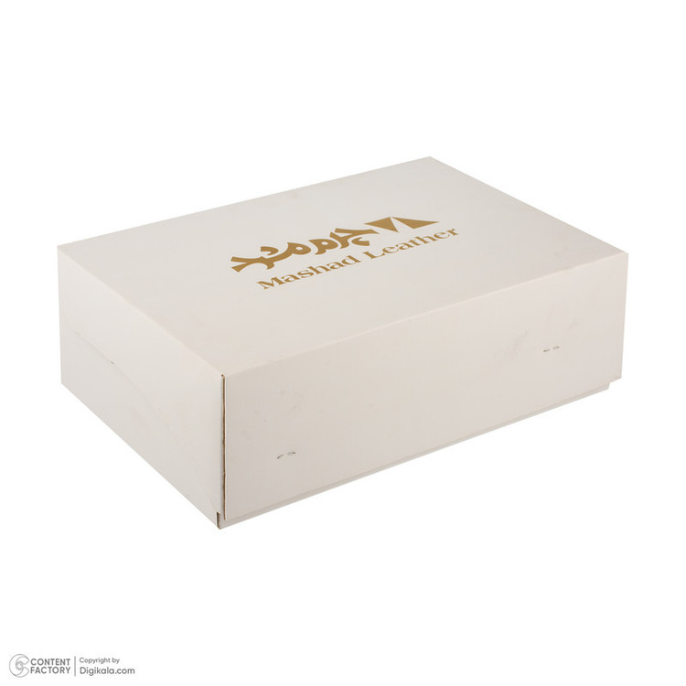 کفش روزمره زنانه چرم مشهد مدل J2799-001-38