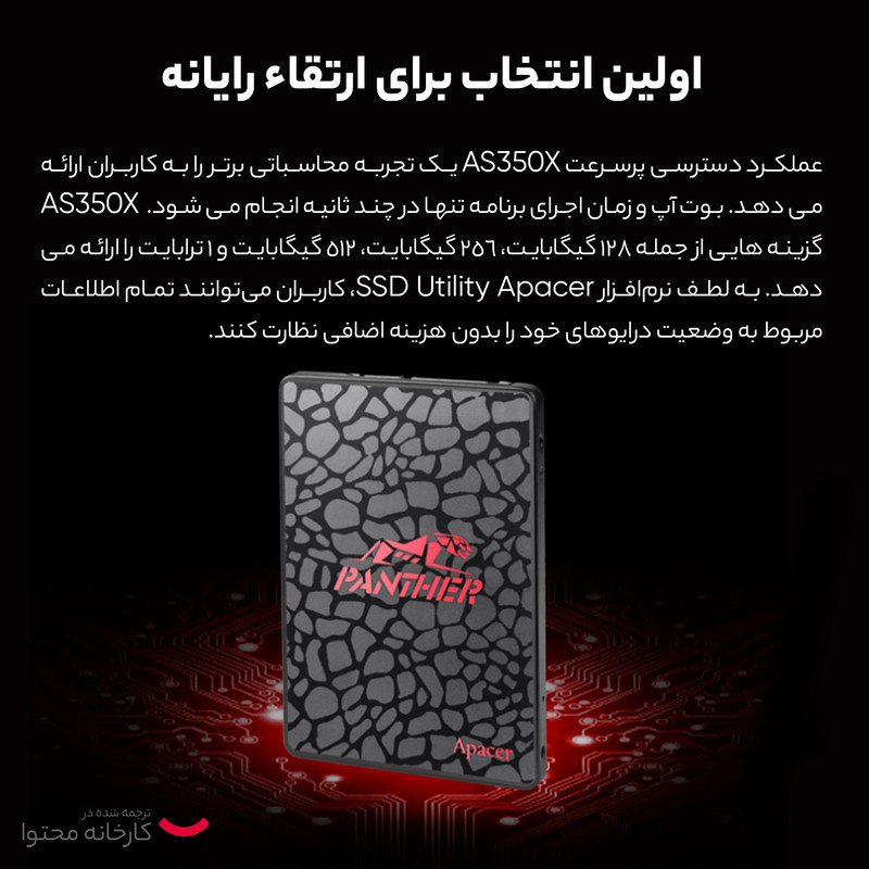 اس اس دی اینترنال اپیسر مدل AS350 PANTHER ظرفیت 256 گیگابایت