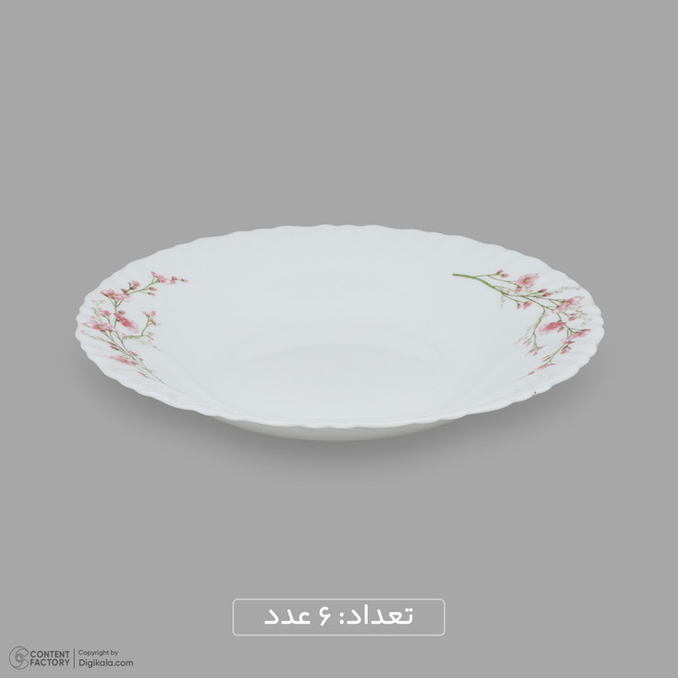 سرویس غذاخوری اوپال 25 پارچه 6 نفره گلدن اپال مدل بهار