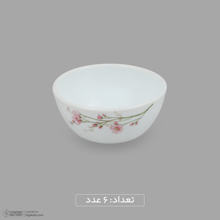 سرویس غذاخوری اوپال 25 پارچه 6 نفره گلدن اپال مدل بهار