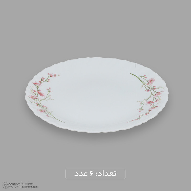 سرویس غذاخوری اوپال 25 پارچه 6 نفره گلدن اپال مدل بهار