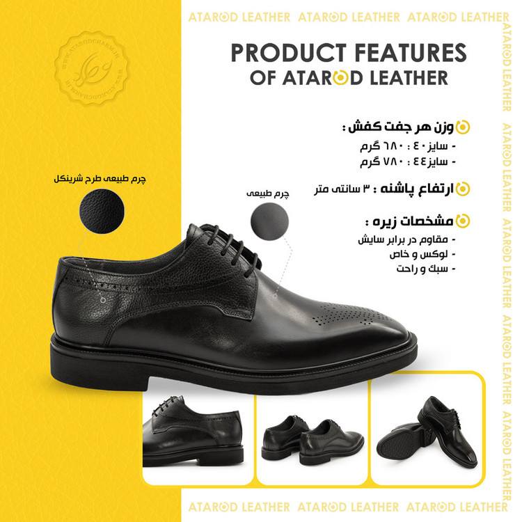 کفش رسمی مردانه چرم عطارد مدل چرم طبیعی کد SH391