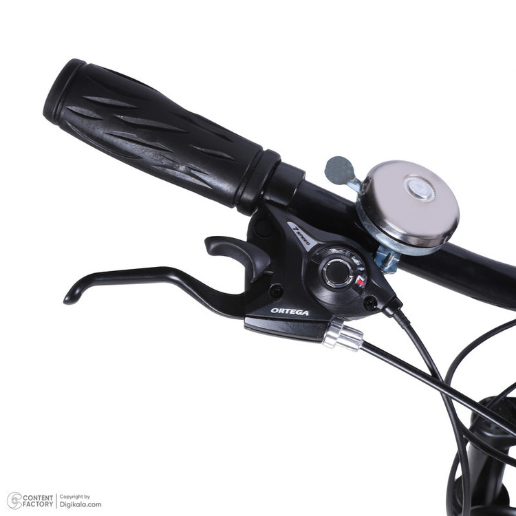 دوچرخه کوهستان آساک مدل تیوان کد D-439-5262184 سایز طوقه 26 اینچ