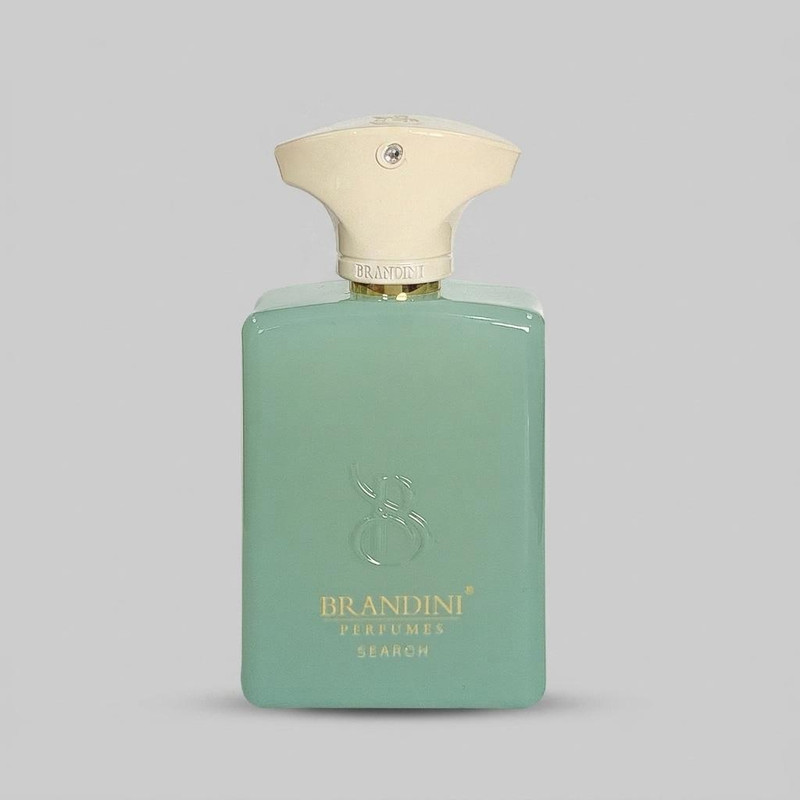 عطر جیبی برندینی مدل Search حجم 33 میلی لیتر