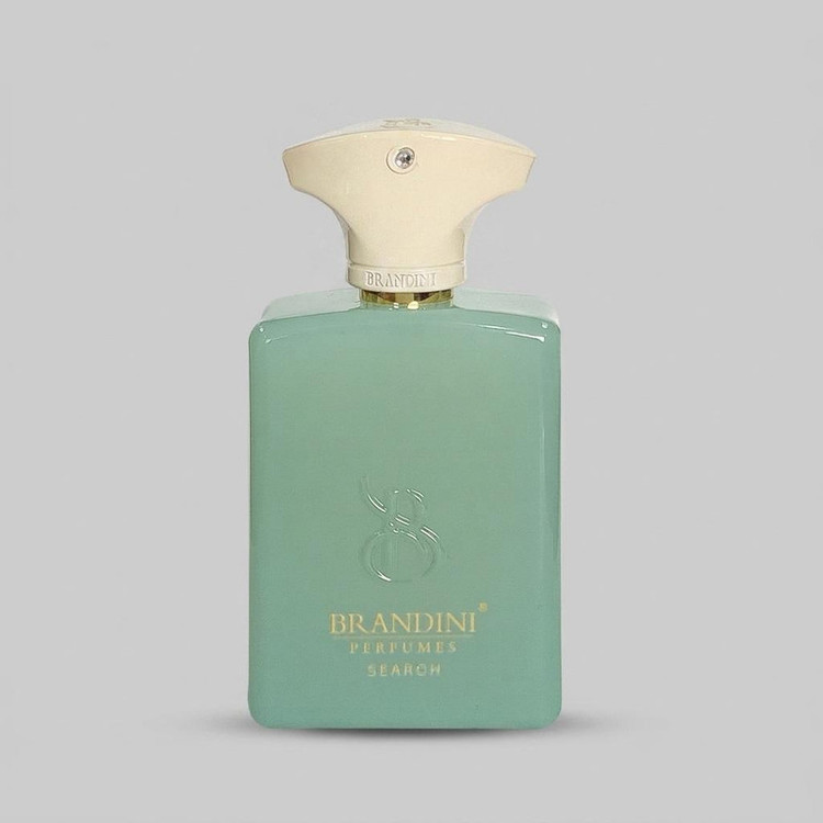 عطر جیبی برندینی مدل Search حجم 33 میلی لیتر