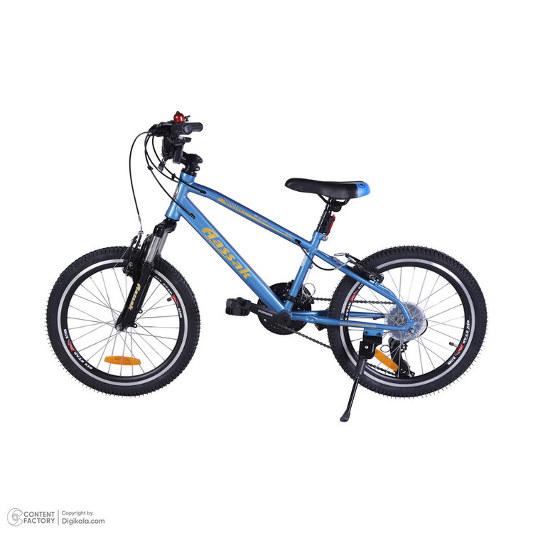 دوچرخه کودک کوهستان آساک مدل آرسکا کد B-208-5202100 سایز طوقه 20 اینچ