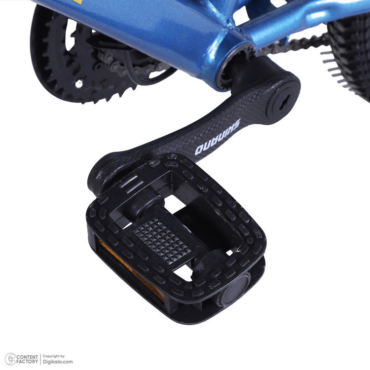 دوچرخه کودک کوهستان آساک مدل آرسکا کد B-208-5202100 سایز طوقه 20 اینچ