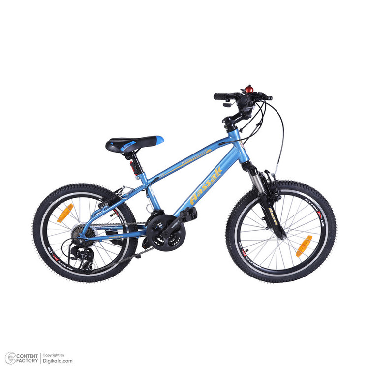 دوچرخه کودک کوهستان آساک مدل آرسکا کد B-208-5202100 سایز طوقه 20 اینچ
