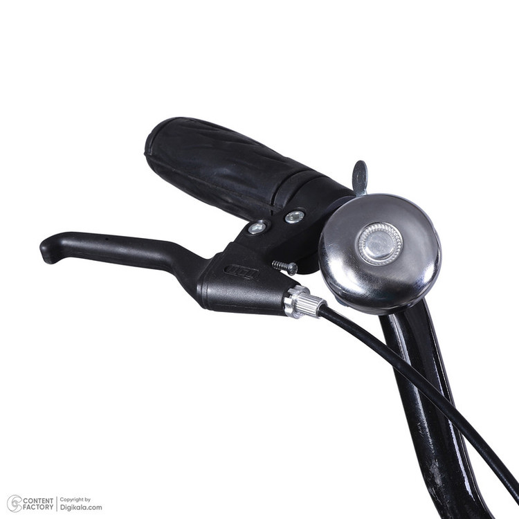 دوچرخه شهری آساک مدل گیتا کد D-416-5260166 سایز طوقه 26 اینچ