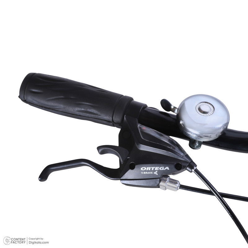 دوچرخه کوهستان آساک مدل تیوان کد E-505-5272109 سایز طوقه 27.5 اینچ