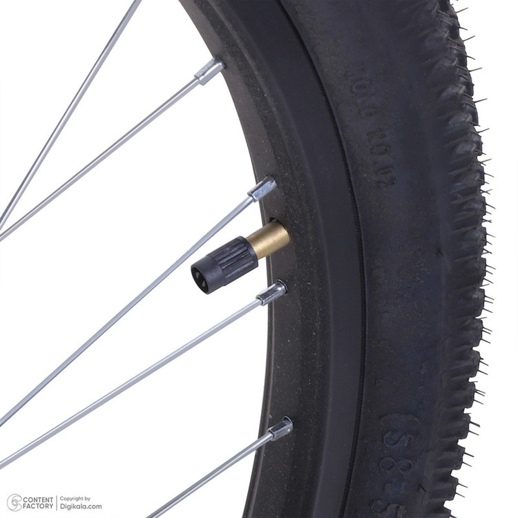 دوچرخه کوهستان آساک مدل هونان کد D-443-5262198 سایز طوقه 26 اینچ