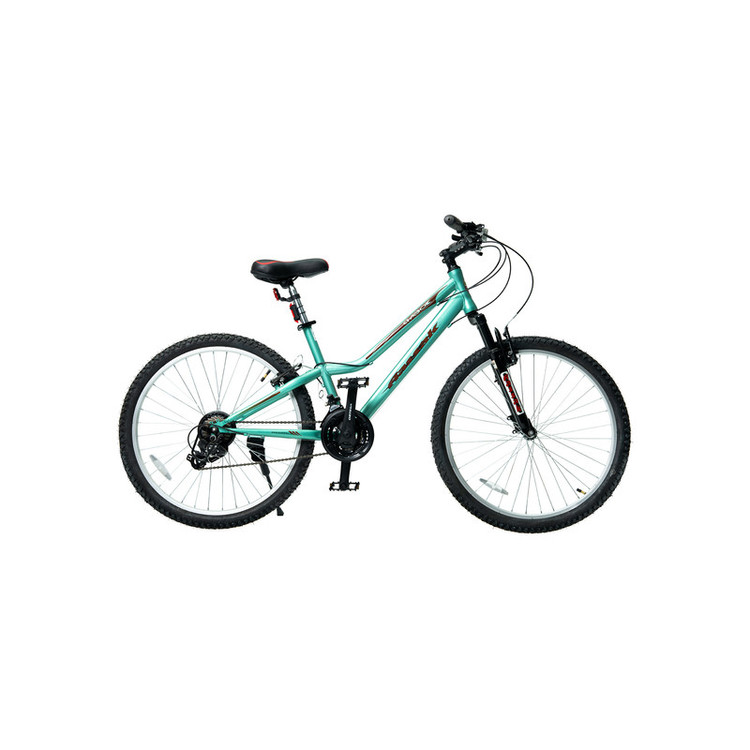 دوچرخه کوهستان آساک مدل تیوان کد D-438-5262183 سایز طوقه 26 اینچ