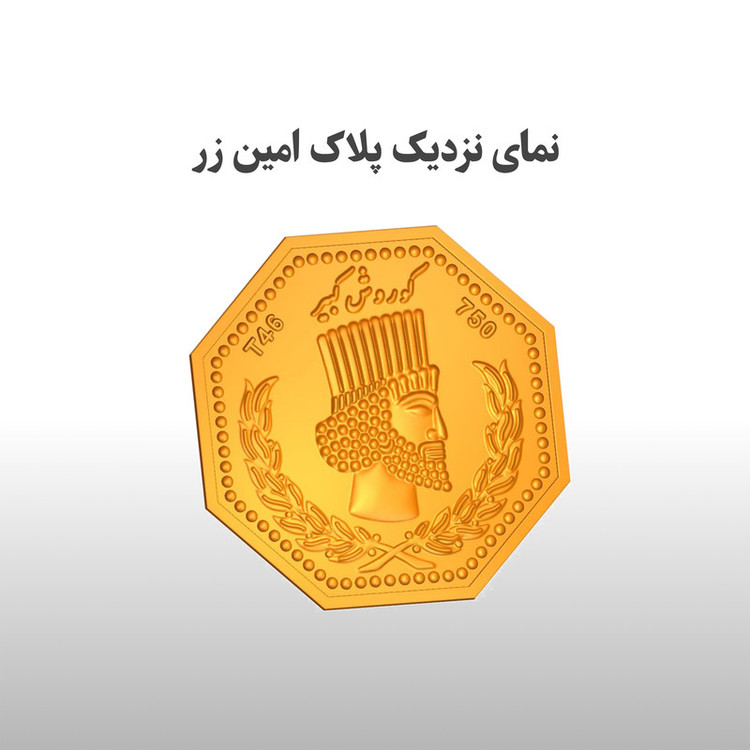 سکه گرمی طلا 18 عیار امین زر کد GL-100