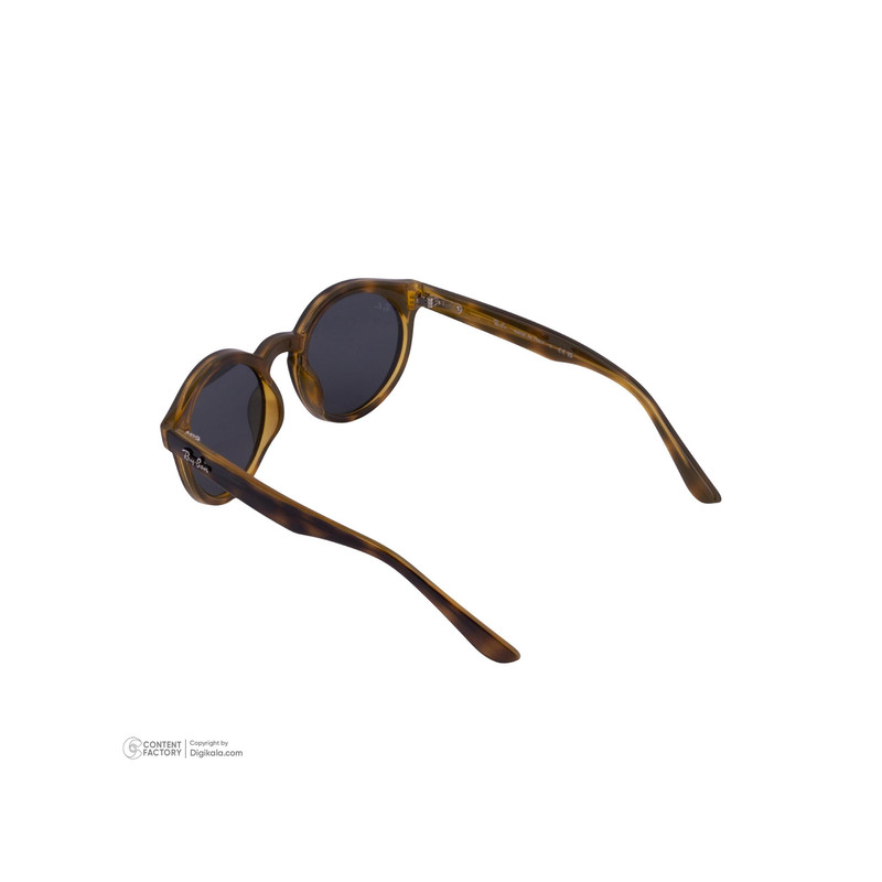 عینک آفتابی پنتوس Pantos ری بن مدل 0RB0505S-6790-VR