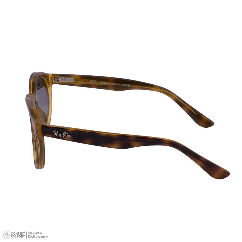 عینک آفتابی پنتوس Pantos ری بن مدل 0RB0505S-6790-VR