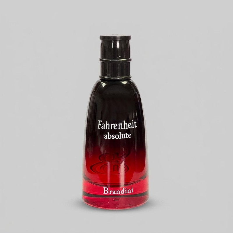 عطر جیبی مردانه برندینی مدل Fahrenheit Absolute حجم 33 میلی لیتر