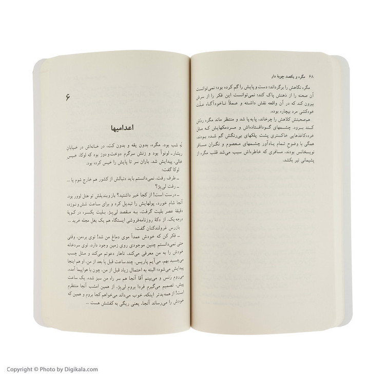 کتاب مگره و یکصد چوبهٔ دار اثر ژرژ سیمنون انتشارات هرمس