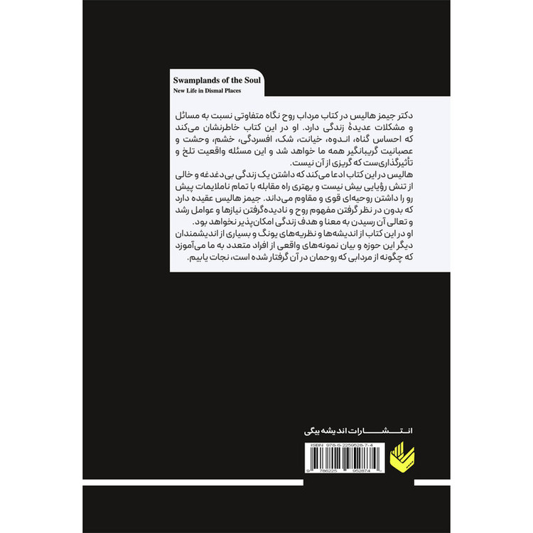 کتاب مرداب روح اثر جیمز هالیس ترجمه ندا خطائی انتشارات اندیشه بیگی