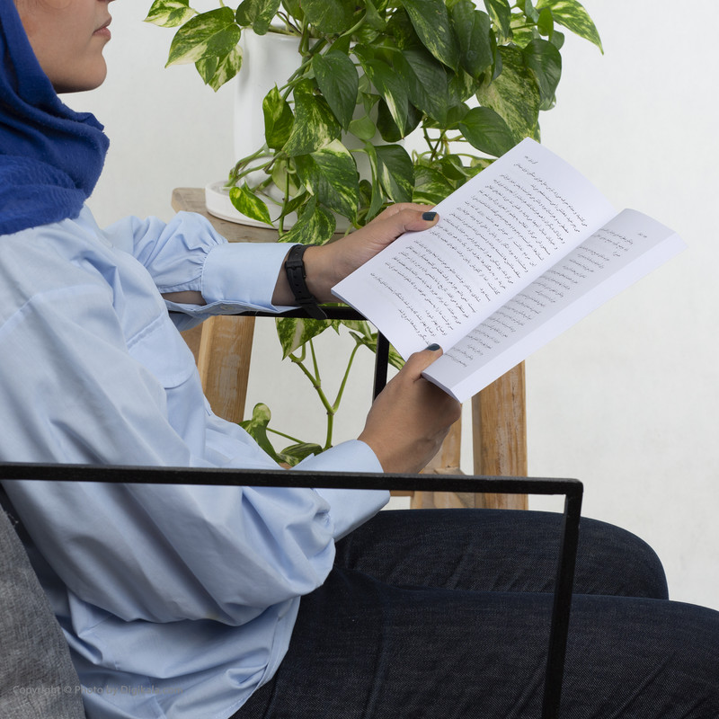 کتاب اتفاق اثر گلی ترقی انتشارات نیلوفر