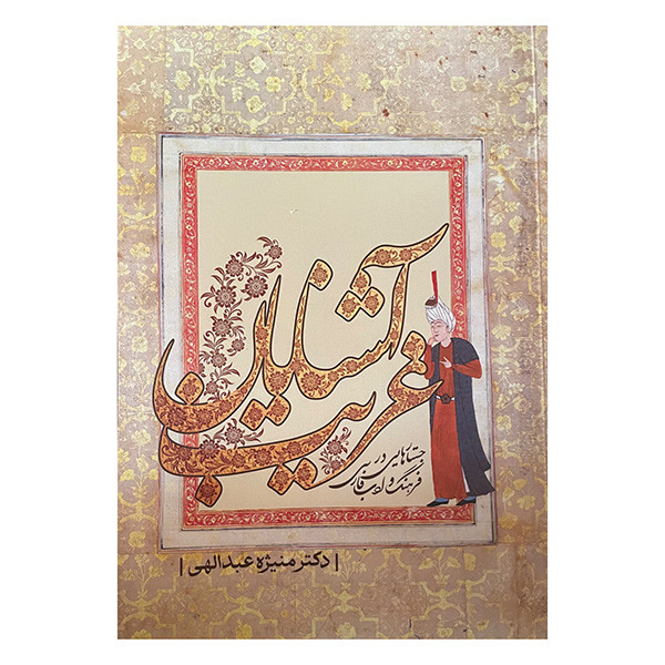 کتاب غریب اشنایان اثر دکتر منیژه عبداللهی انتشارات معین