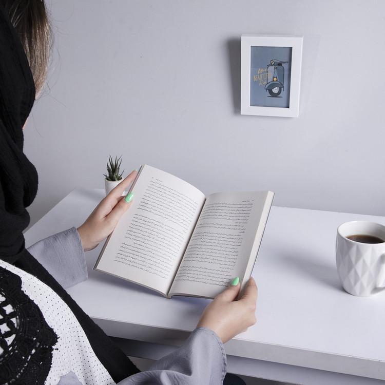 کتاب پیشه در به دری، زندگی و آثار بزرگ علوی اثر حسن میرعابدینی نشر چشمه