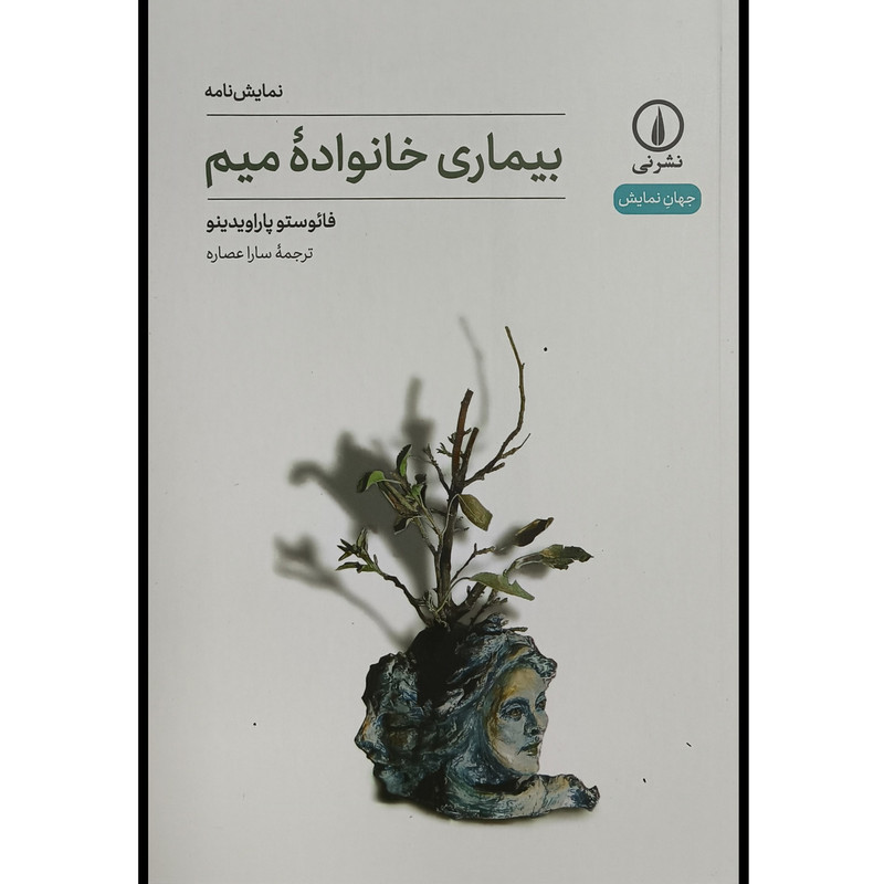 کتاب بيماری خانواده ميم اثر فائوستو پاراويدينو ترجمه سارا عصاره نشر نی