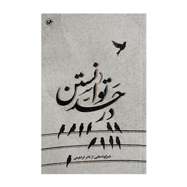 کتاب در حد توانستن اثر نادر ابراهیمی نشر امير كبير