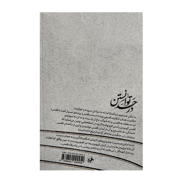 کتاب در حد توانستن اثر نادر ابراهیمی نشر امير كبير