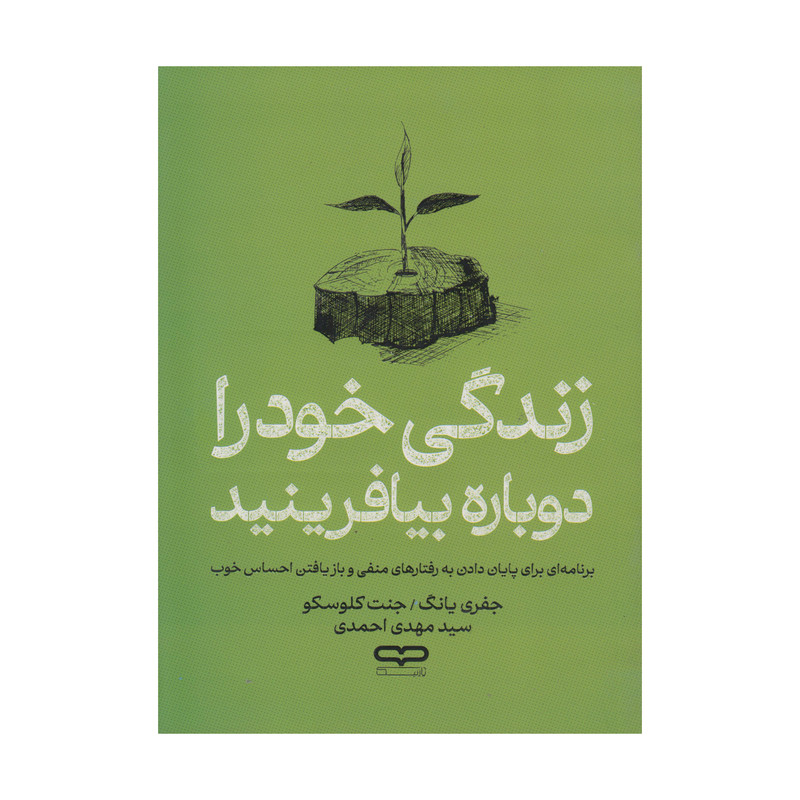 کتاب زندگی خود را دوباره بیافرینید اثر جفری یانگ و جنت کلوسکو ترجمه سید مهدی احمدی انتشارات یارنیک R6Y
